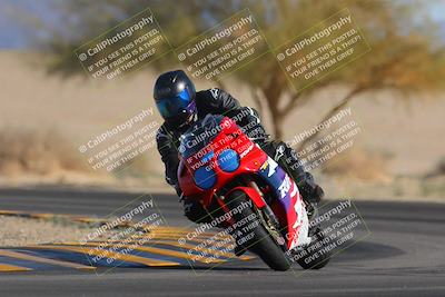 media/Feb-04-2023-SoCal Trackdays (Sat) [[8a776bf2c3]]/Turn 4 (Tree of Life 2pm)/